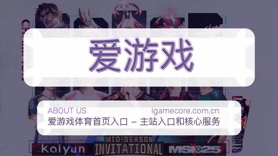 爱游戏服务说明